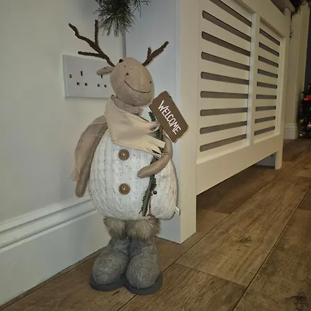 Guest In County Limerick