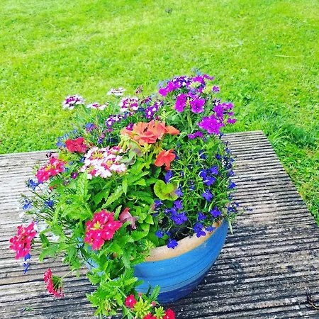 Guest In County Limerick Pallaskenry