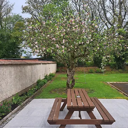 Guest In County Limerick 아파트