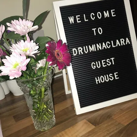 아파트 Guest In County Limerick
